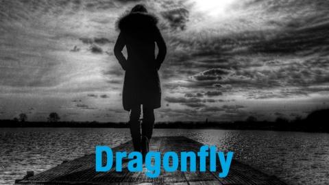 Dragonfly (2014)